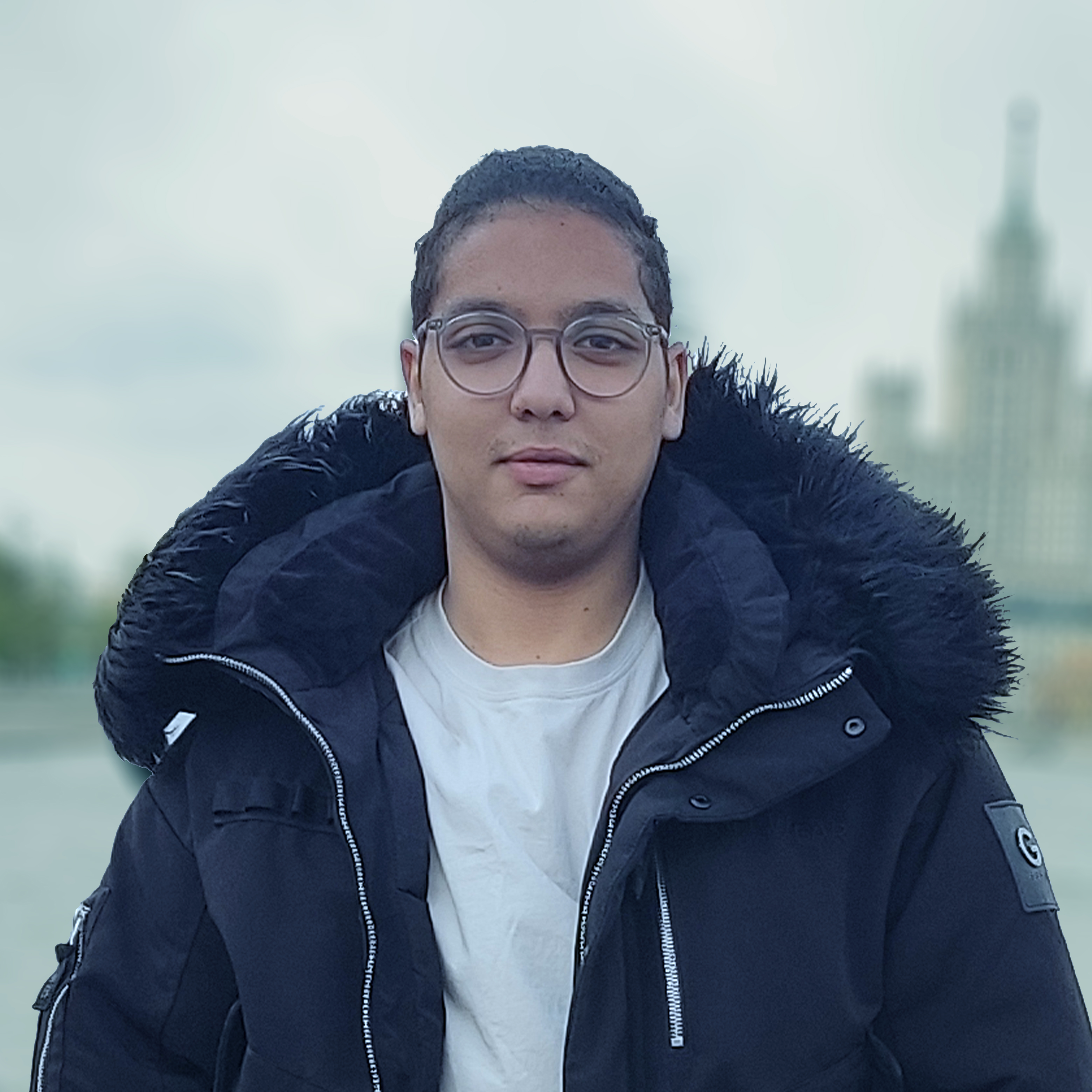 Full stack developer